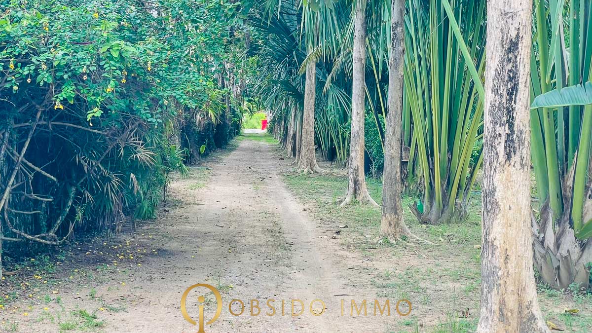 Obsido – Achat immobilier – Hua Hin – Jardin Botanique-01