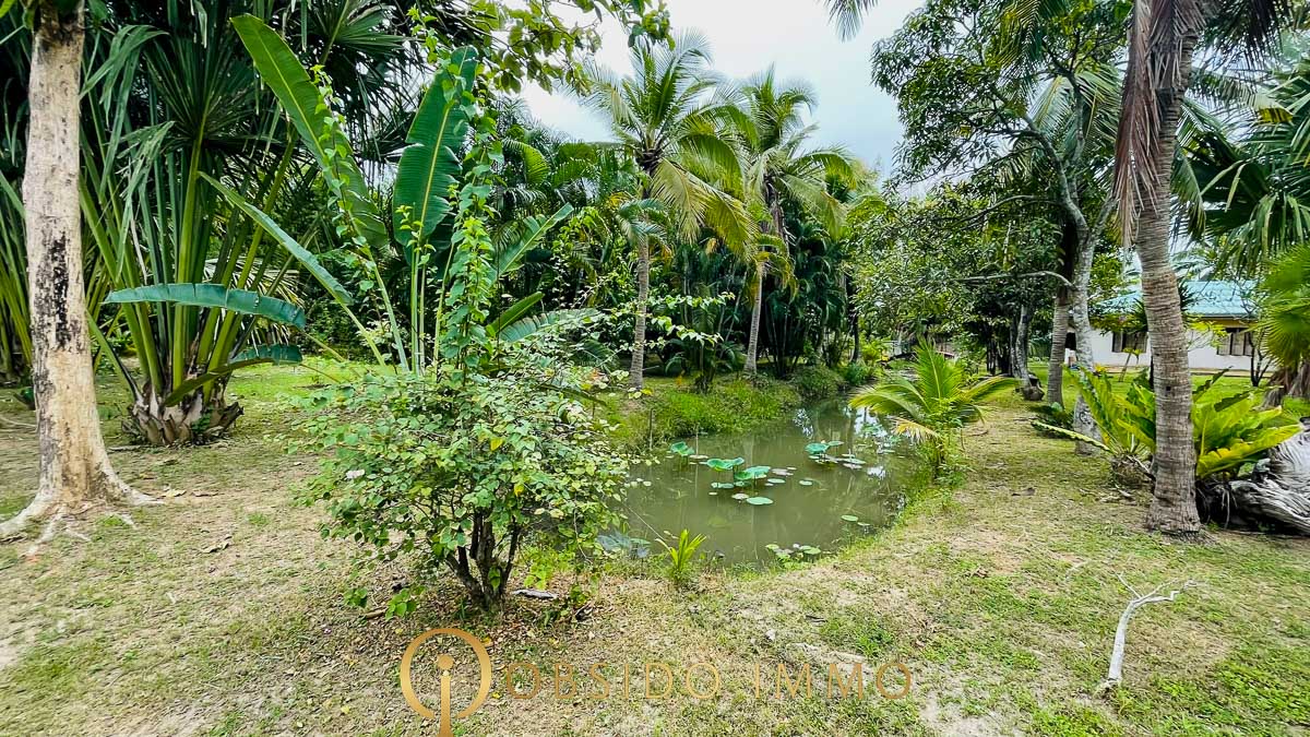 Obsido – Achat immobilier – Hua Hin – Jardin Botanique-03