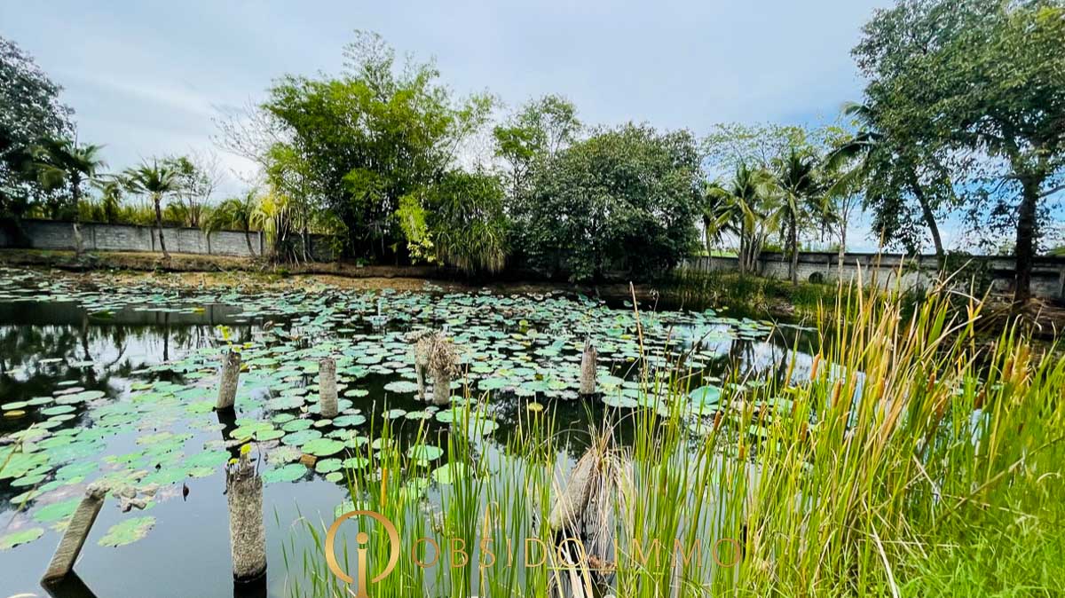 Obsido – Achat immobilier – Hua Hin – Jardin Botanique-13