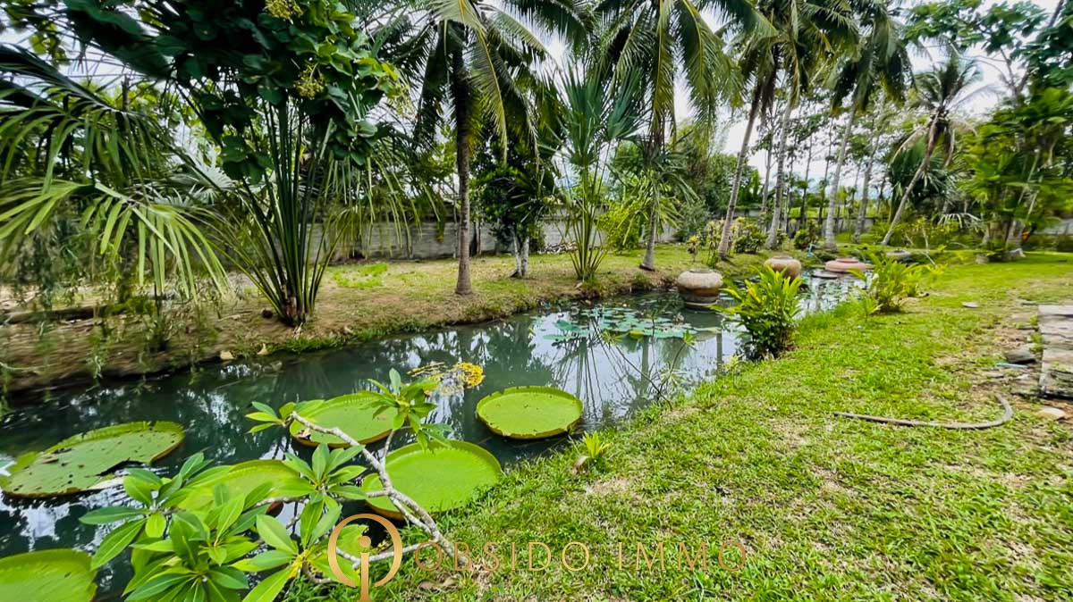 Obsido – Achat immobilier – Hua Hin – Jardin Botanique-17
