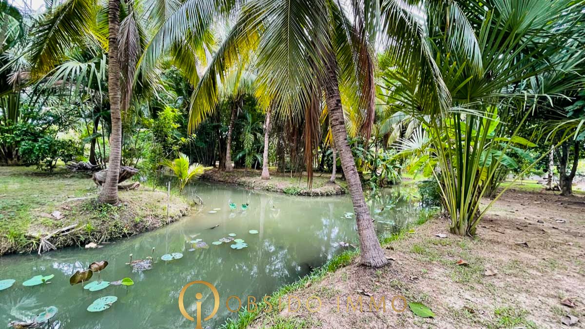 Obsido – Achat immobilier – Hua Hin – Jardin Botanique-21