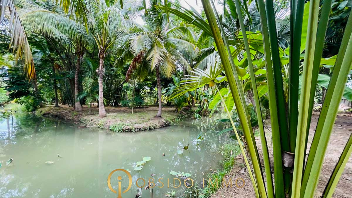 Obsido – Achat immobilier – Hua Hin – Jardin Botanique-23