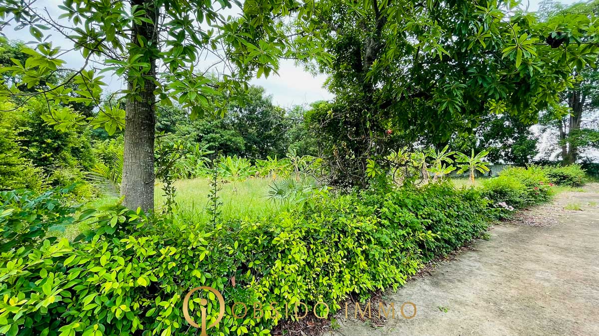 Obsido – Achat immobilier – Hua Hin – Terrain bord de lac Black Moutain-01