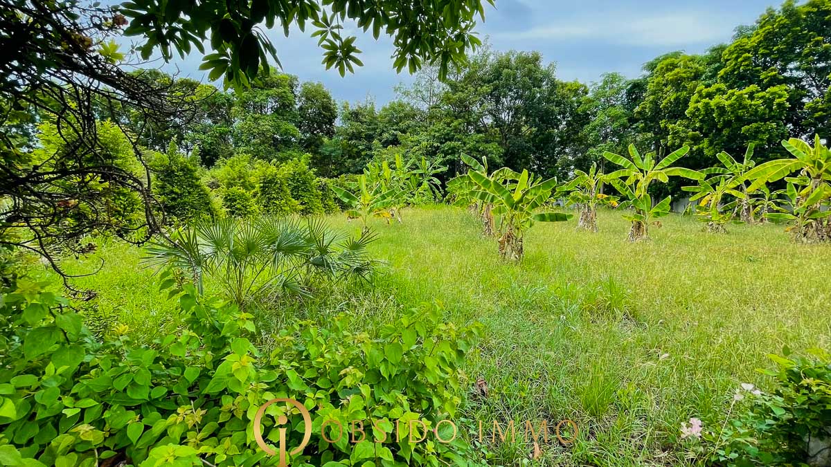 Obsido – Achat immobilier – Hua Hin – Terrain bord de lac Black Moutain-04