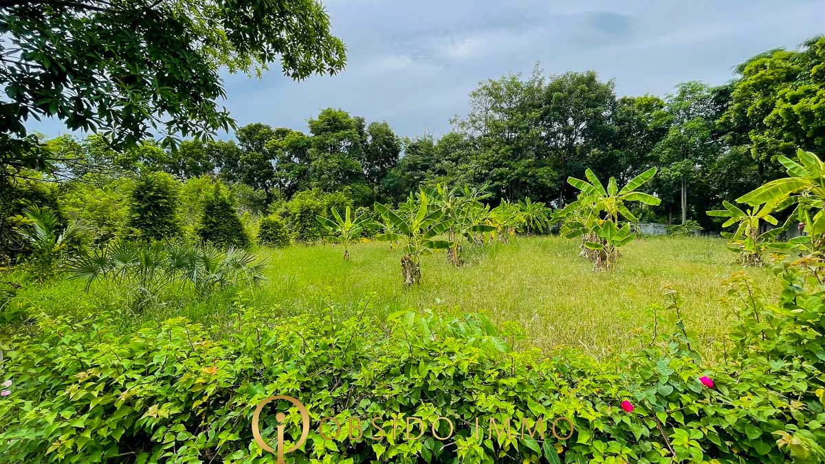 Obsido – Achat immobilier – Hua Hin – Terrain bord de lac Black Moutain-05