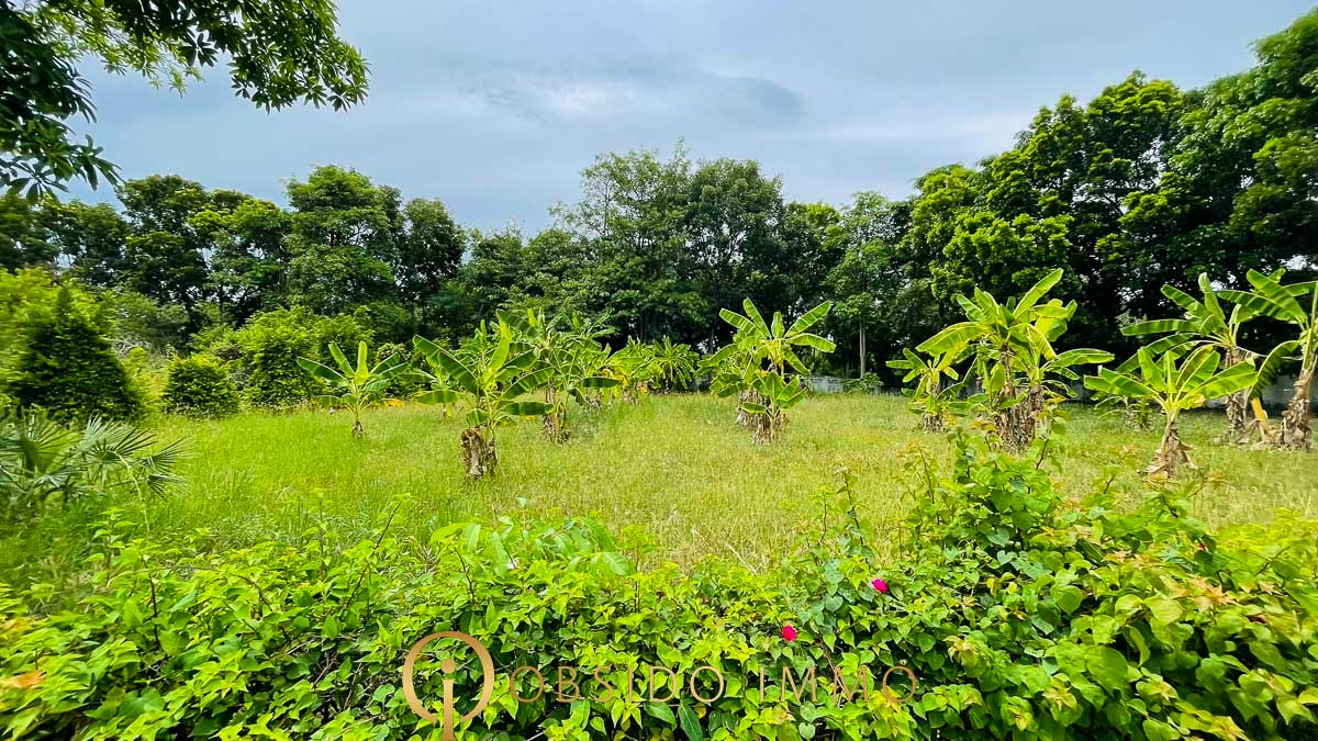Obsido – Achat immobilier – Hua Hin – Terrain bord de lac Black Moutain-06