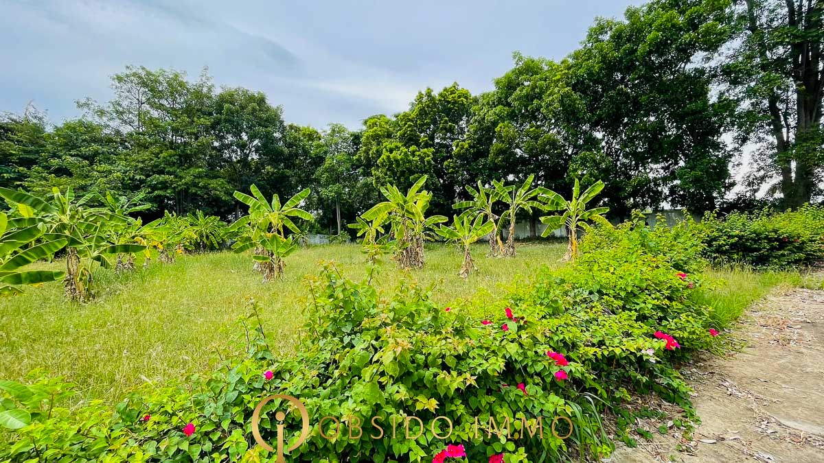 Obsido – Achat immobilier – Hua Hin – Terrain bord de lac Black Moutain-07