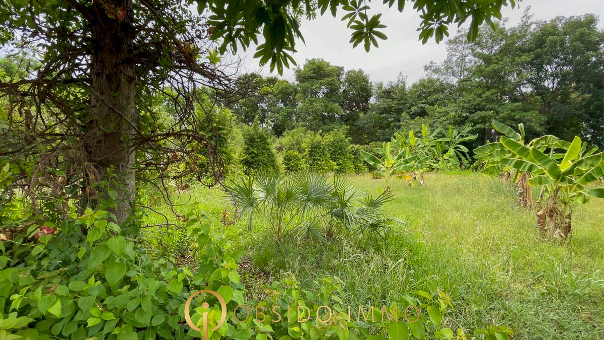 Obsido – Achat immobilier – Hua Hin – Terrain bord de lac Black Moutain-10